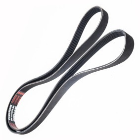 Keilrippenriemen 6PK1875-PCS-MS von MASTER-SPORT günstig für 20,59 € online kaufen