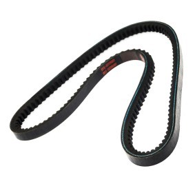 Keilriemen AVX-13X855-PCS-MS von MASTER-SPORT günstig für 4,88 € online kaufen