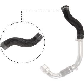 Ladeluftschlauch R12538 von RAPRO günstig für 49,79 € online kaufen