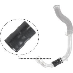Ladeluftschlauch R12539 von RAPRO günstig für 12,91 € online kaufen