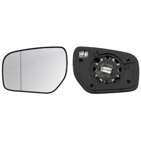 Spiegelglas des Herstellers IPARLUX - Originalware Artikelnummer: 31255311