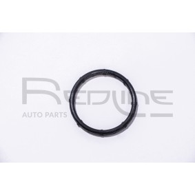 Achetez des Joint d'étanchéité, pompe à eau RED-LINE 34HY017 à prix pour 47,44 €