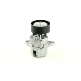 Spannrolle, Keilrippenriemen FT44646 von FAST günstig für 45,74 € online kaufen