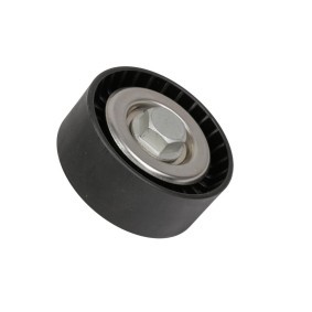 Spannrolle, Keilrippenriemen FT44658 von FAST günstig für 19,82 € online kaufen