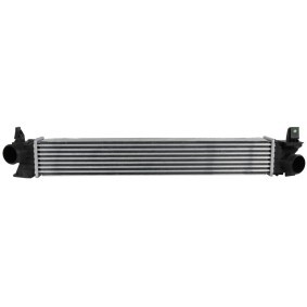 Acquista Intercooler da FAST FT55516 a buon mercato per soli 157,06 €