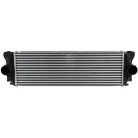 Compre Intercooler da FAST FT55529 a um preço baixo por 156,55 €