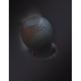 Schaltknauf und Einzelteile des Herstellers CARPASSION - Originalware Artikelnummer: 10058