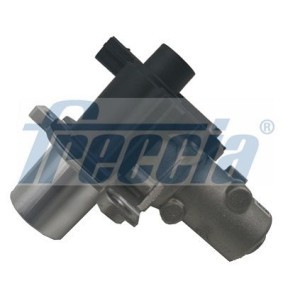 AGR-Ventil EGR12-141 von FRECCIA günstig für 136,94 € online kaufen