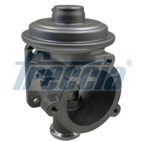 AGR-Ventil EGR12-158 von FRECCIA günstig für 105,79 € online kaufen