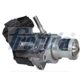 AGR-Ventil EGR12-166 von FRECCIA günstig für 181,23 € online kaufen