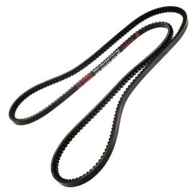 Compre Correia trapezoidal da MASTER-SPORT AVX-10X1532-PCS-MS a um preço baixo por 6,05 €