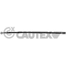 Bremsschlauch 752434 von CAUTEX günstig für 32,37 € online kaufen