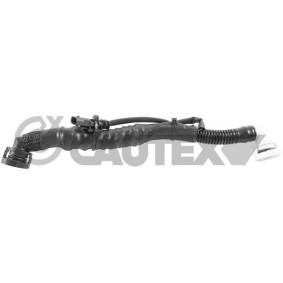 Compre Tubo flexível, respiro da tampa da cabeça do motor de CAUTEX online para 500 (312) a preços moderados
