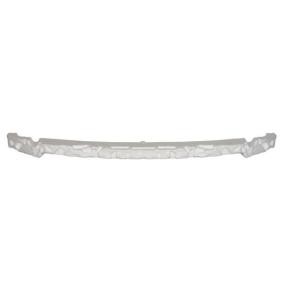 Comprar Soporte, parachoques de BLIC 5502-00-8167941P a bajo precio de 27,31 €