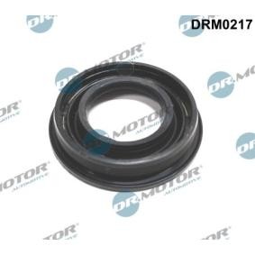 Köp Tätning, munstyckshållare av DR.MOTOR AUTOMOTIVE DRM0217 till det låga priset 94,79 kr
