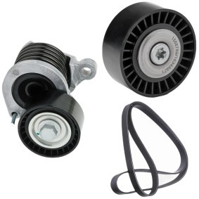 Acquista Kit cinghia servizi da RIDEX online per GLC Coupé (C253) a prezzi moderati
