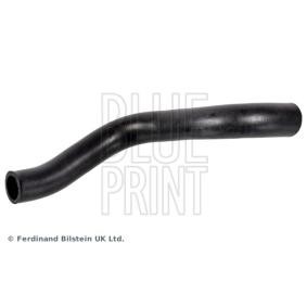 Acquista Manicotto radiatore da BLUE PRINT online per PRIUS (ZVW3_) a prezzi moderati