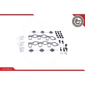 Comprar Kit de reparación, módulo de tubo de aspiración de ESEN SKV 96SKV050 a bajo precio de 63,21 €