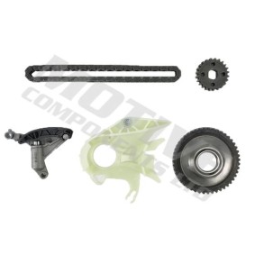 Kette, Ölpumpenantrieb TCK251 von motive günstig für 147,82 € online kaufen