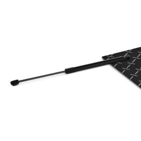 Heckklappendämpfer 219G1019 von RIDEX günstig für 16,14 € online kaufen