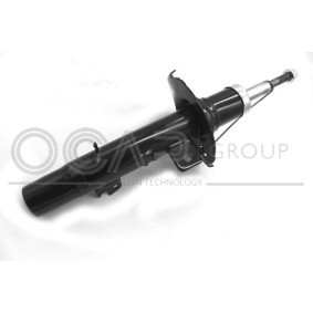 Acquista Ammortizzatore da OCAP 82060FR a buon mercato per soli 78,27 €