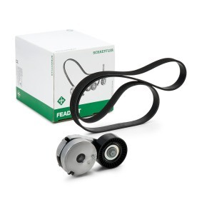 Acquista Kit cinghia servizi da INA online per Sentra VII (B17) a prezzi moderati