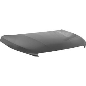 Compre Capô da DIEDERICHS 4236100 a um preço baixo por 364,21 €