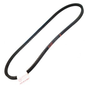 Keilriemen AVX-10X880-PCS-MS von MASTER-SPORT günstig für 4,33 € online kaufen