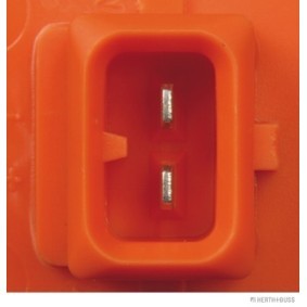 Seitenmarkierungsleuchte für RENAULT von HERTH+BUSS ELPARTS