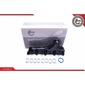 Compre Módulo do colector de admissão da ESEN SKV 49SKV032 a um preço baixo por 151,78 €