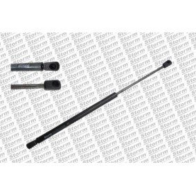 Heckklappendämpfer für FORD von STORM QUALITY PARTS