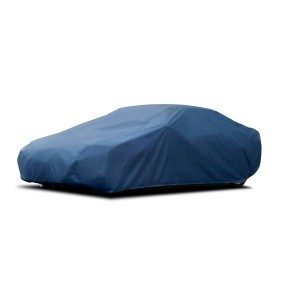 Motorhaube des Herstellers CARPASSION - Originalware Artikelnummer: 100100
