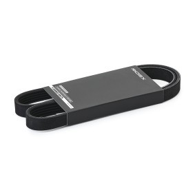 Achetez des Courroie Poly-V RIDEX 305P0558 à prix pour 6,91 €