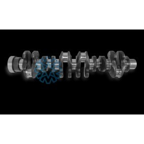 Kurbelwelle 50011000013 VOLVO von MONEDERO