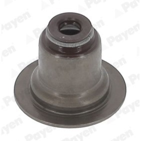 Acquista Paraolio valvole da PAYEN PA6117 a buon mercato per soli 2,23 €