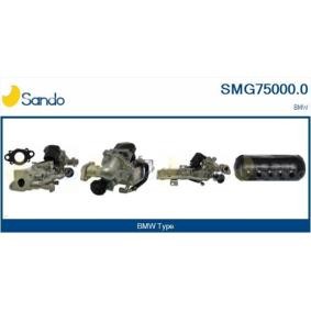 AGR-Modul für BMW von SANDO