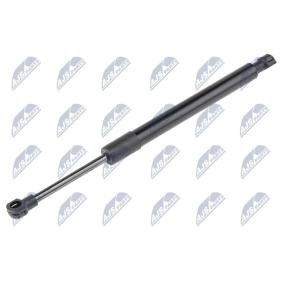 Acquista Ammortizzatore pneumatico cofano motore da NTY AE-RE-066 a buon mercato per soli 14,51 €