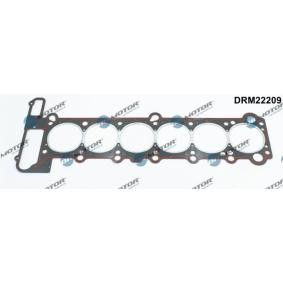 Acquista Guarnizione testata da DR.MOTOR AUTOMOTIVE DRM22209 a buon mercato per soli 32,58 €
