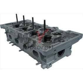 Achetez des Culasse de cylindre MEYER MOTOREN 033036030 à prix pour 1115,26 €