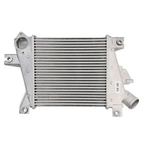 Acquista Intercooler da THERMOTEC online per X-TRAIL (T30) a prezzi moderati