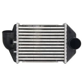 Ladeluftkühler DAA028TT von THERMOTEC günstig für 72,79 € online kaufen