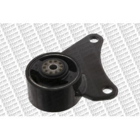 Compre Suporte, motor da STORM QUALITY PARTS F1591 a um preço baixo por 25,30 €