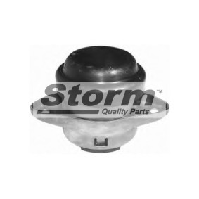 Compre Suporte, motor da STORM QUALITY PARTS F2256 a um preço baixo por 39,35 €