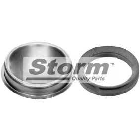 Kjøp Tetningsring, hjulnav av STORM QUALITY PARTS F4719 til den lave prisen 60,79 NOK