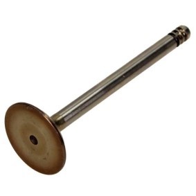 Einlaßventil PSEA016-S-0-D von AMP günstig für 7,66 € online kaufen