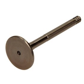 Auslaßventil PVWG066-A-0-N von AMP günstig für 24,04 € online kaufen