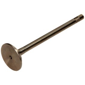 Auslaßventil PVWG036-B-0-N von AMP günstig für 16,93 € online kaufen
