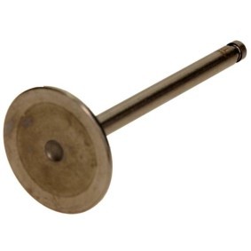 Einlaßventil PNIS099-A-0-N von AMP günstig für 9,18 € online kaufen