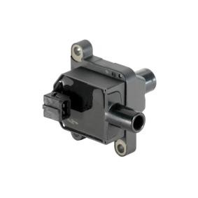 Zündspule 85.30174A2 von SIDAT günstig für 57,64 € online kaufen