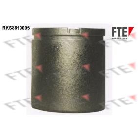 Acquista Pistoncino pinza freno da FTE 9313148 a buon mercato per soli 45,20 €